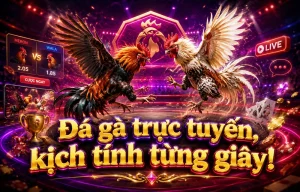 Ảnh giao diện gốc Đá Gà exmodelsagency